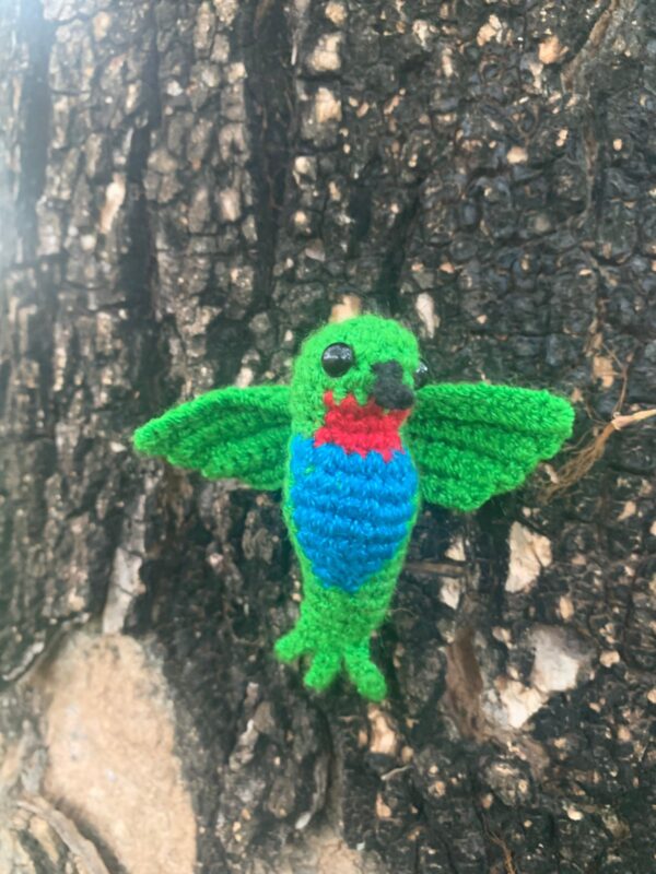 Colibri Amigurumi