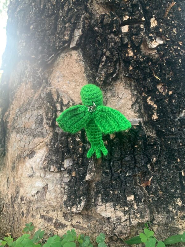 Colibri Amigurumi