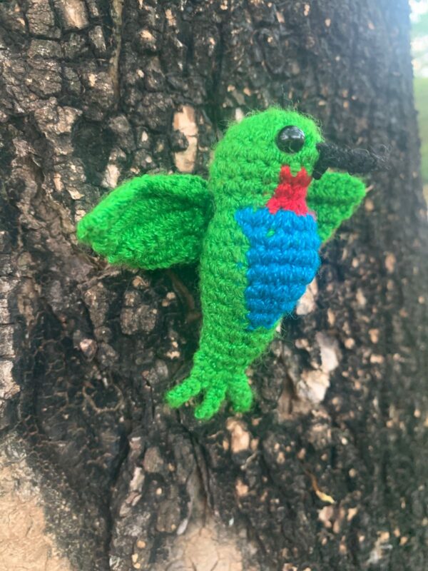 Colibri Amigurumi