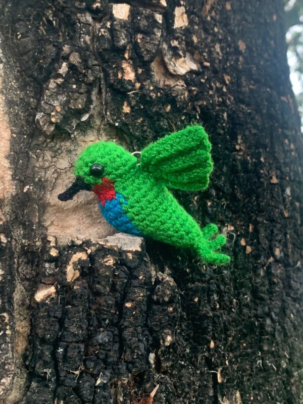 Colibri Amigurumi